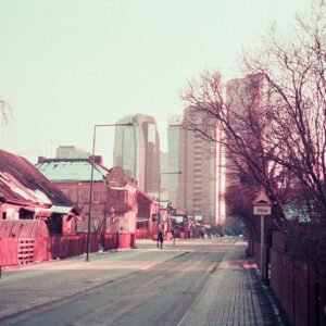 Purple Shanghai '25
